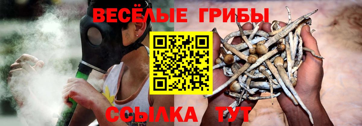 Псилоцибиновые грибы MAGIC MUSHROOMS  Вход с VPN  Киселёвск 