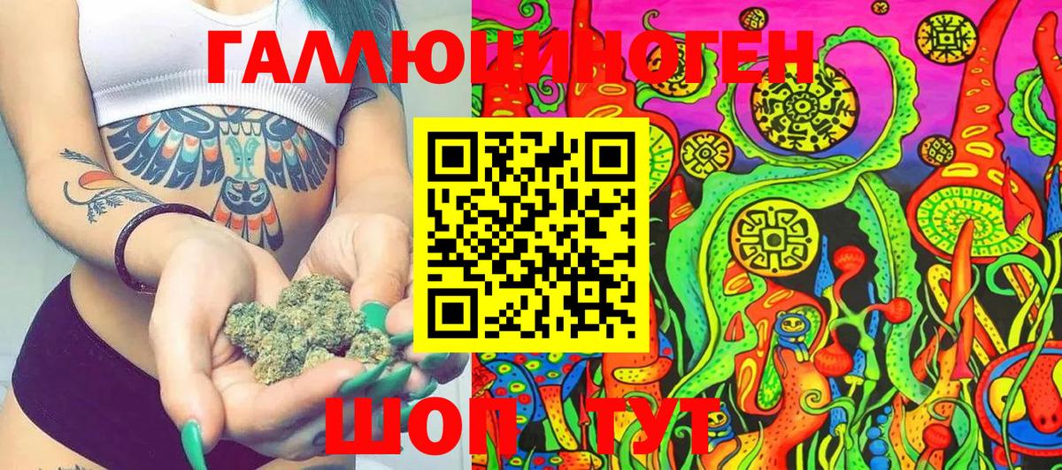 Псилоцибиновые грибы Psilocybine cubensis Киселёвск